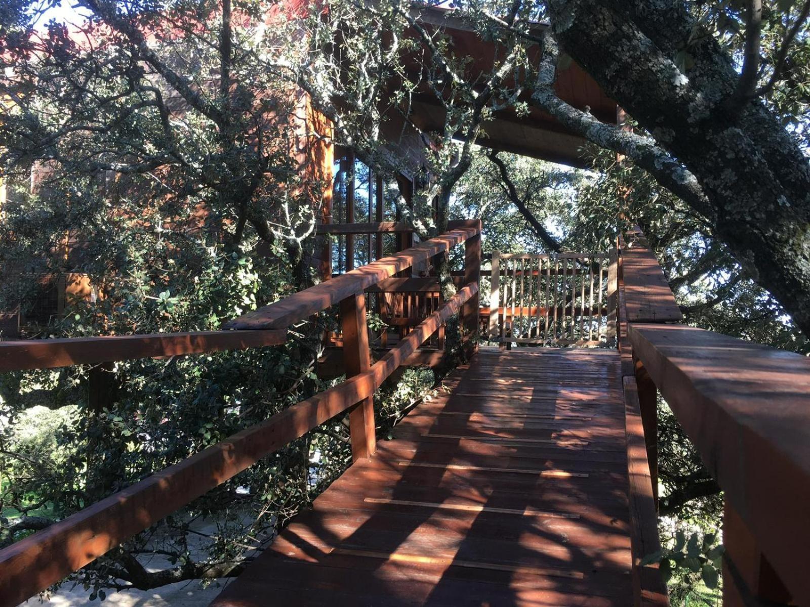 Cabana El Valle Pedroso de Acim Екстер'єр фото